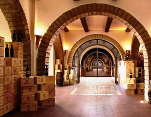 Azienda Vinicola Villa Matilde Azienda Vinicola Villa Matilde